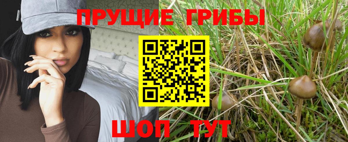 Псилоцибиновые грибы мухоморы  Вход с VPN  Ишим 